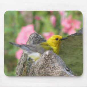 Banho Mousepad do Prothonotary