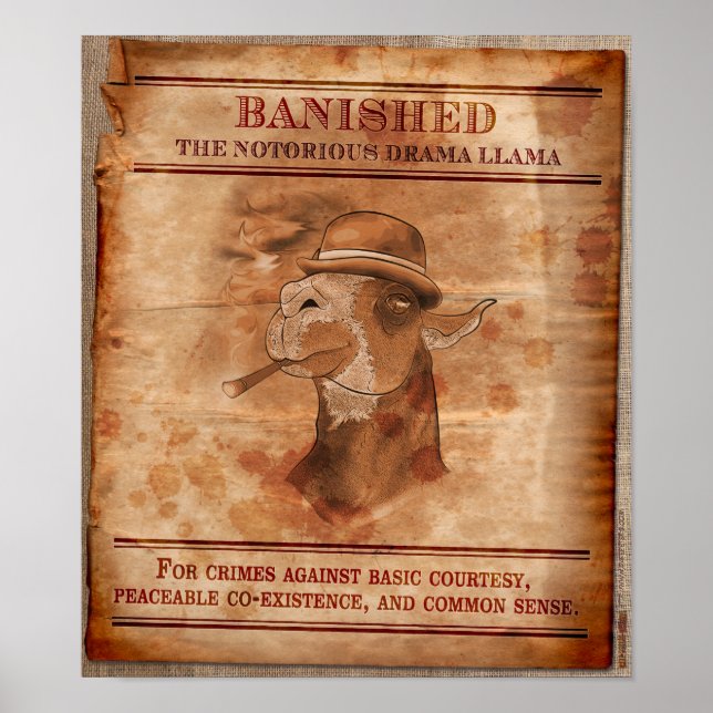 Banish Drama Llamas - Poster de 12" x 14" (Frente)