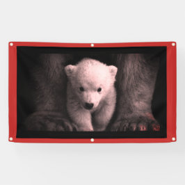 BANNER COM CUBO DE URBANA