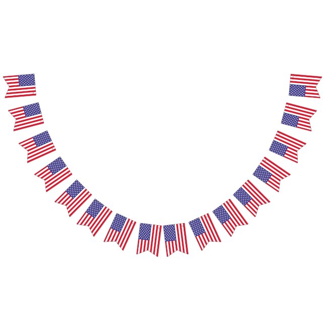 Banner de bandeira americano (Todos)