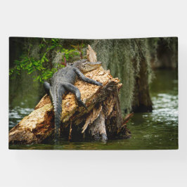 Banner preguiçoso 4x6'