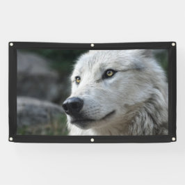 Banner WOLF