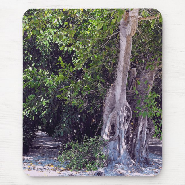 Banyan Street Mousepad (Frente)