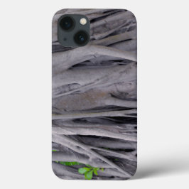 Banyan Tree Trunk