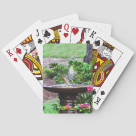 Baralho 030 cartões de jogo do banho do Bluebird