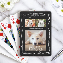 3 Foto Cachorro Filho Favorito da Mamãe Doodles La