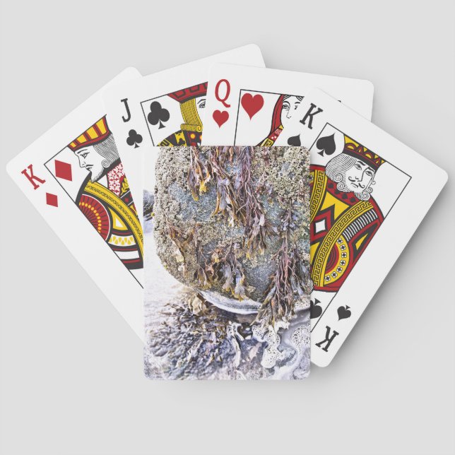 BARALHO A PRAIA (Verso)