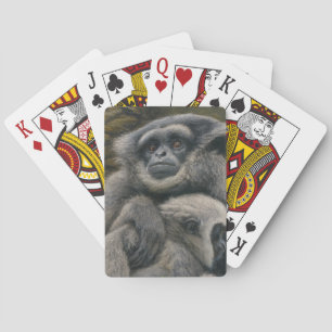 Baralho Abrigo Gibbon - Retrato Emocional de Vida Selvagem