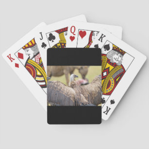 Baralho Abutre e Hyena