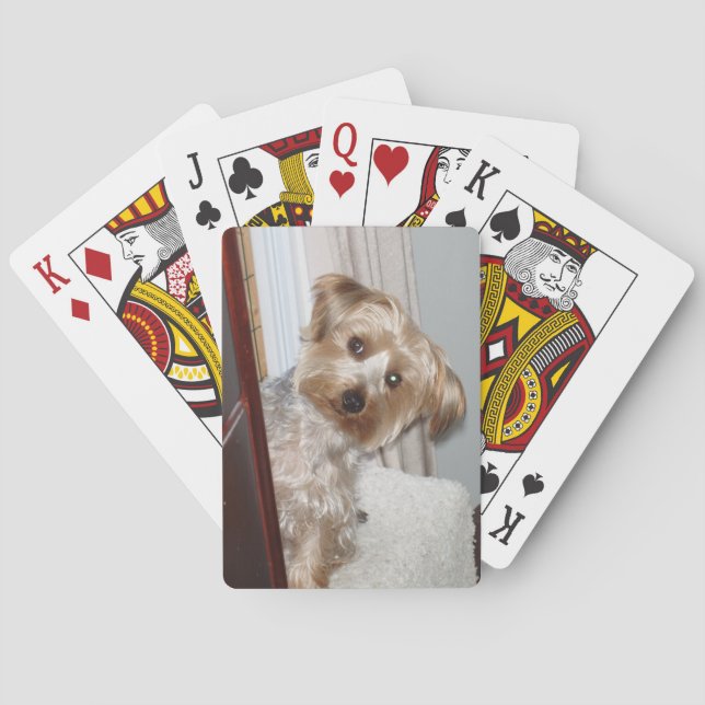 Baralho Adorável Westie/Yorkie (Verso)