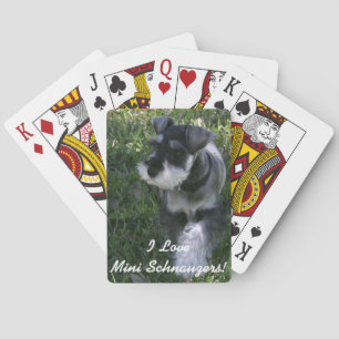 Baralho Adoro Mini Schnauzers Deck de Cartões