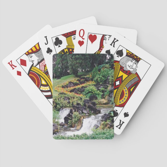 Baralho Água de cicatrização (Verso)