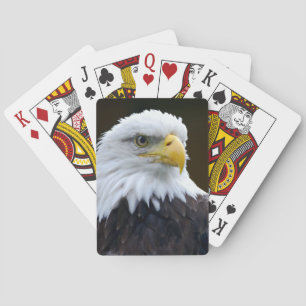 Baralho Águia americana americana