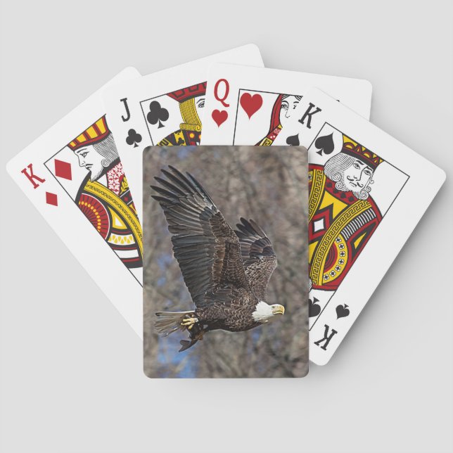 Baralho Águia-careca com um peixe-gato (Verso)