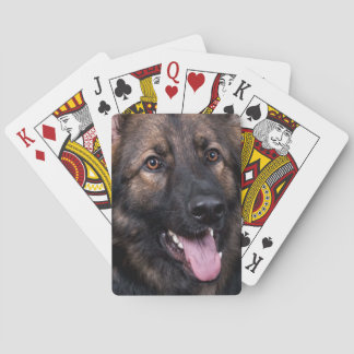 Baralho Alsatian do cão de german shepherd dos cartões de