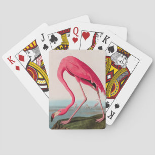 Baralho American Flamingo Birds of America Audubon Impress