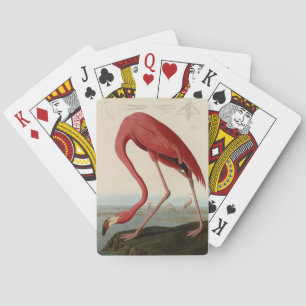 Baralho American Flamingo, das Aves da América de Audubon