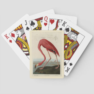 Baralho American Flamingo, das Aves da América de Audubon