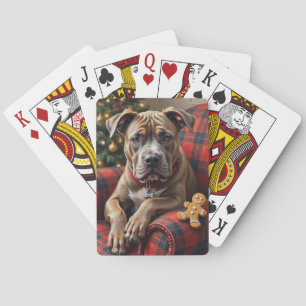 Baralho American Staffordshire Terrier Natal Aconchegante