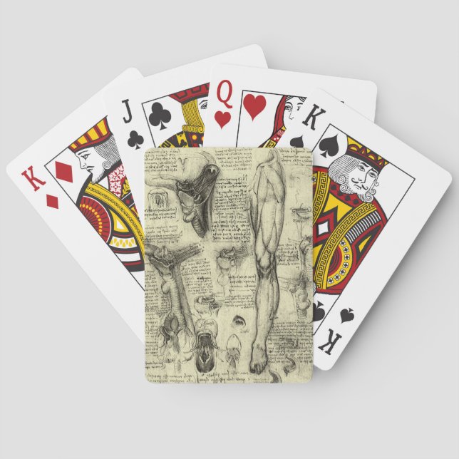 Baralho Anatomia Humana Antiga Laringe Perna de Leonardo d (Verso)