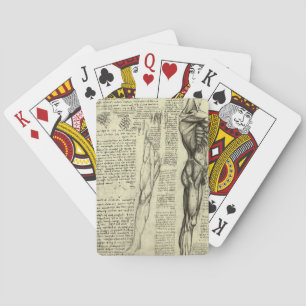 Baralho Anatomia Humana Masculina de Leonardo da Vinci Mús
