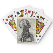 Anatomia humana médica