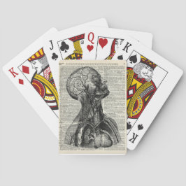 Baralho Anatomia humana médica