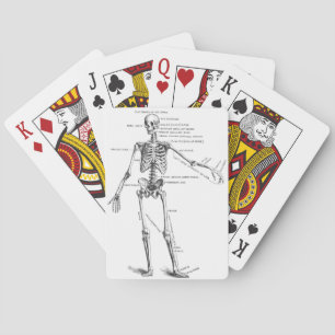 Baralho Anatomia médica vegetativa diagrama do esqueleto m