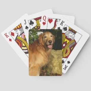 Baralho Ânsia do golden retriever