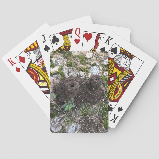 Baralho Ant Castle (Verso)