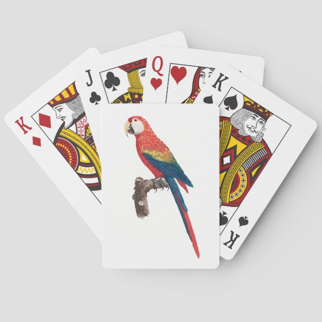 Baralho Ara Canga Parrot (Verso)