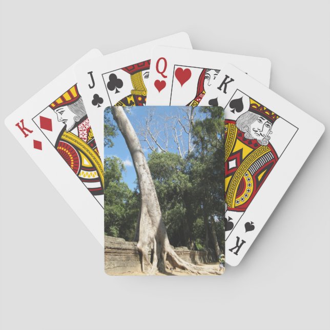 Baralho Árvore Banyan gigante ... Ta Prohm Temple, Camboja (Verso)