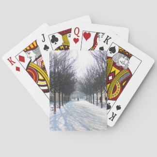 Baralho Árvore do inverno em Praga (república checa)