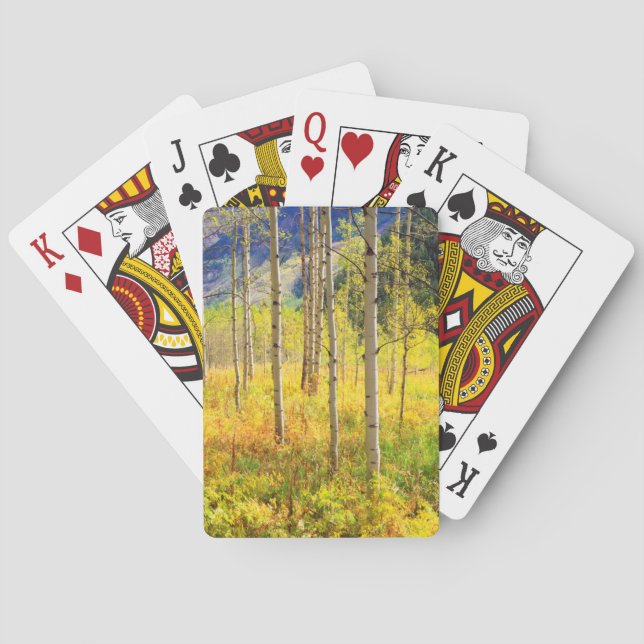 Baralho Árvores de Aspen no Outono nas Montanhas Rochosas (Verso)