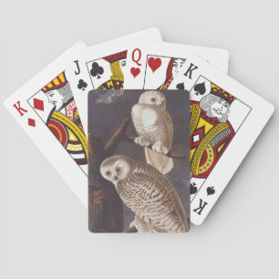 Baralho Audubon Snowy White Ows em uma Noite Nublada Escur