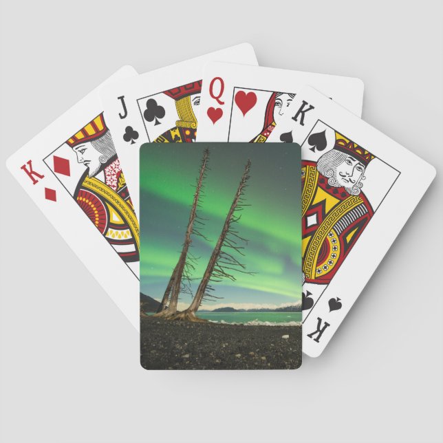 Baralho Aurora de árvore inclinada (Verso)