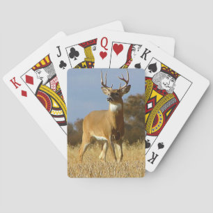 Baralho Autumn Whitetail Buck