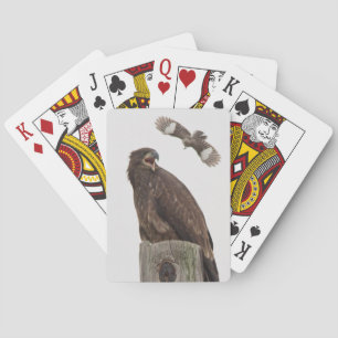 Baralho Bald Eagle (Pare o corpo me batendo)