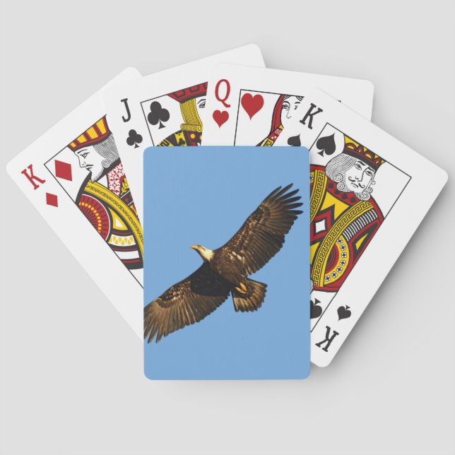 Baralho Bald Eagle Soaring 2 (Verso)