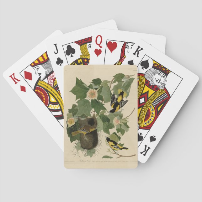 Baralho Baltimore Oriole - das Aves da América de Audubon (Verso)