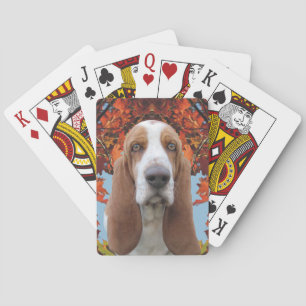 Baralho Basset Hound no outono