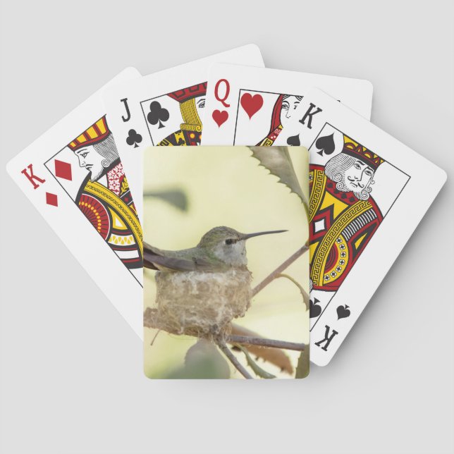 Baralho Bebê fêmea no ninho (Verso)