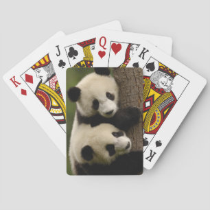 Baralho Bebês de panda gigante (Ailuropoda melanoleuca) 2