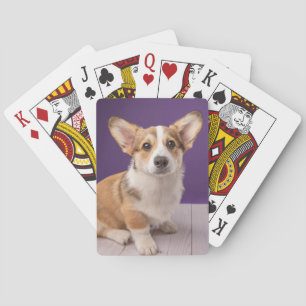 Baralho Bebês Mais Pobres Corgi Puppy em roxo