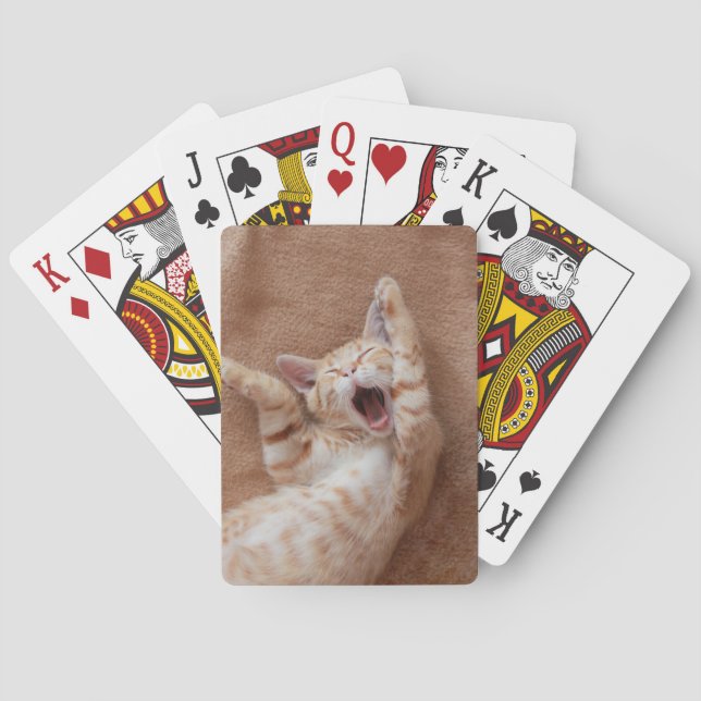 Baralho Bebês Mais Pobres | Ginger Kitten Yawning (Verso)