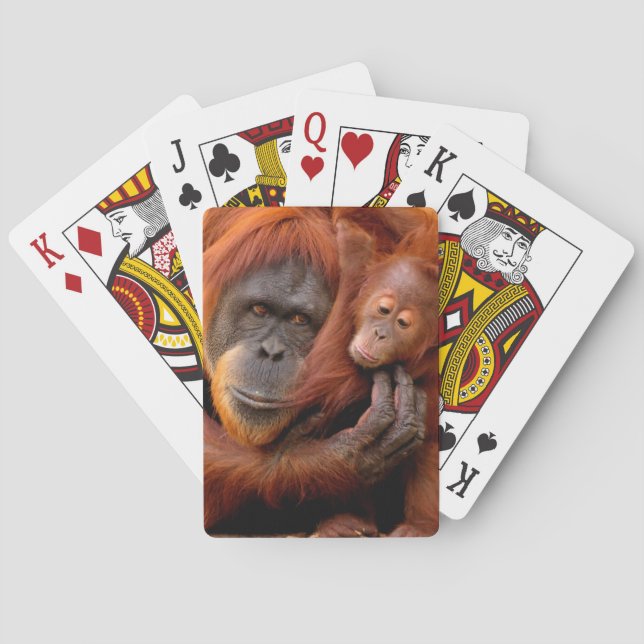 Baralho Bebês Mais Pobres | Orangutan Mãe e Bebê (Verso)
