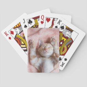 Baralho Bebês Mais Pobres   Pequeno Gato De Laranja