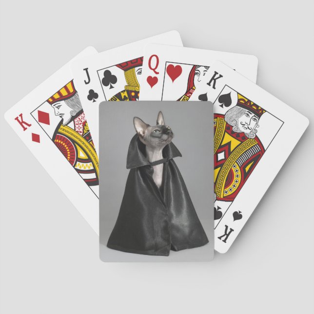 Baralho Bebês Mais Pobres | Sphynx Hairless Cat (Verso)