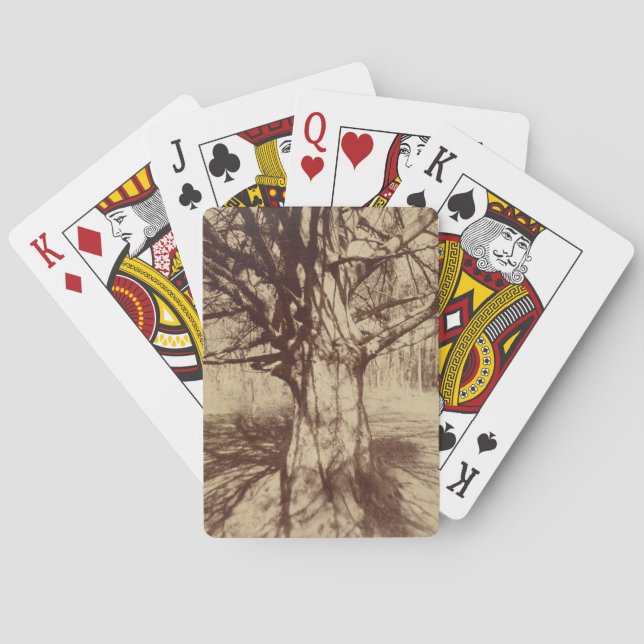 Baralho Beech Tree (por Eugène Atget) (Verso)