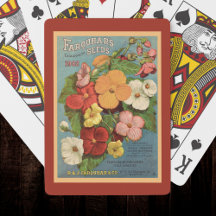 Begônias Florais Rosa 1902 Pacote de Sementes Verm